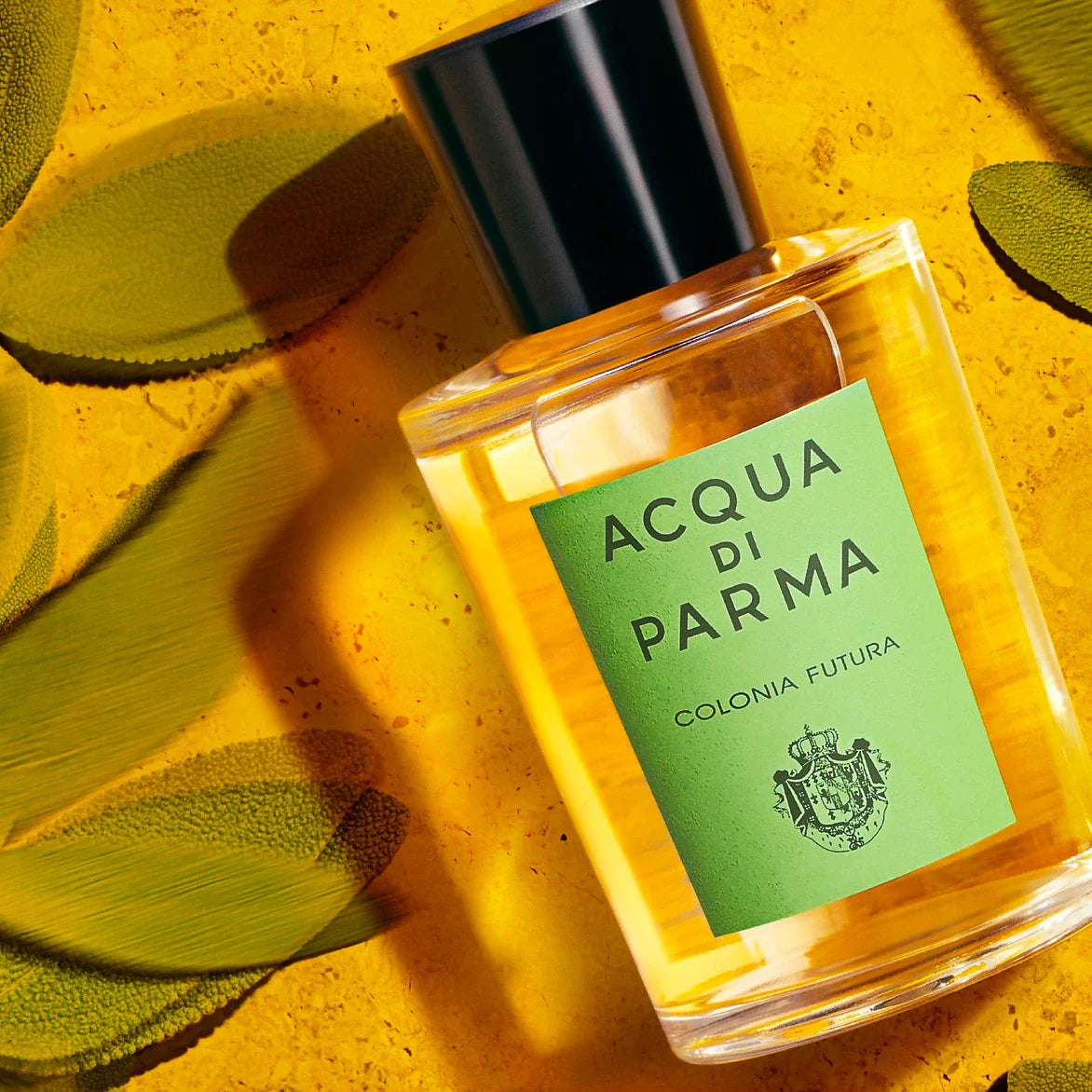 Acqua Di Parma Colonia Futura 3.4 oz for men